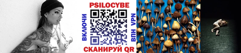 Галлюциногенные грибы ЛСД  Новоалтайск 